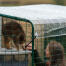 Eier samhandler med katten sin i en løpegård med tydelig dekke