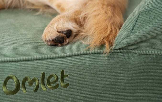 detail of a dogs paw on a cord fabric green bolster bed