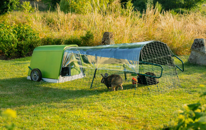 Et Eglu Go bur satt opp i hagen med to kaniner i løpegården.