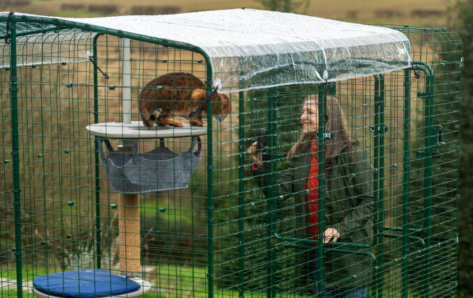 Eieren samhandler med katten sin i en Omlet Walk In Run med klar værbeskyttelse.