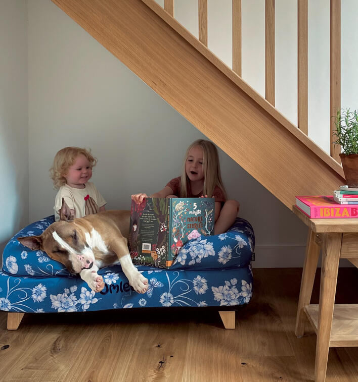 Barn som leser for hunden på en hundeseng med minneskumunderlag