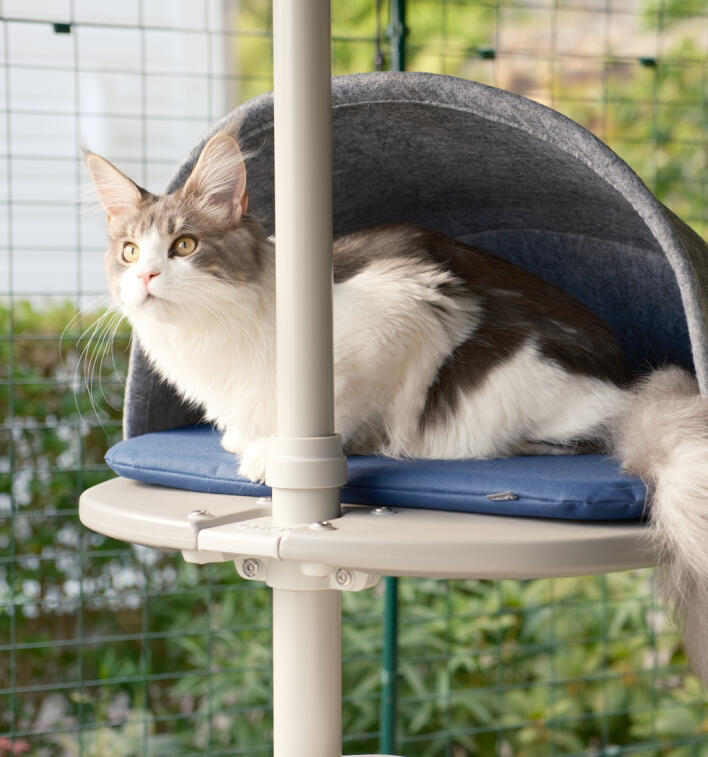 En katt som sitter på huk i plattformhulen som er festet til utendørstreet.