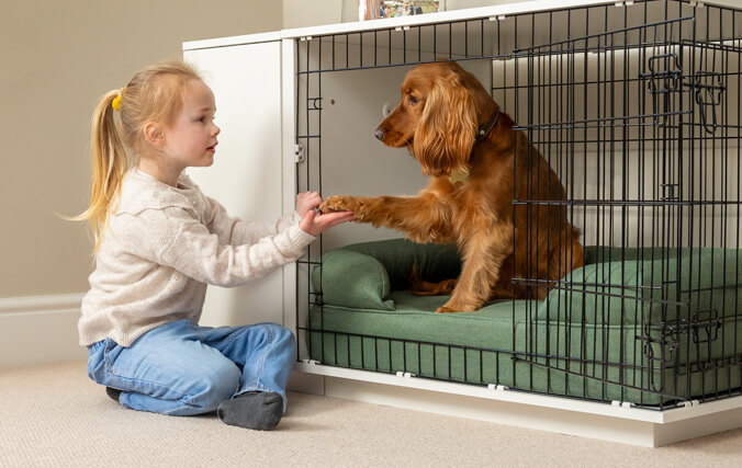 kid playing with a dog in a dog crate