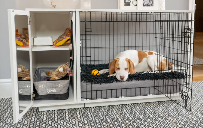 dog sleeping inside a modern dog crate