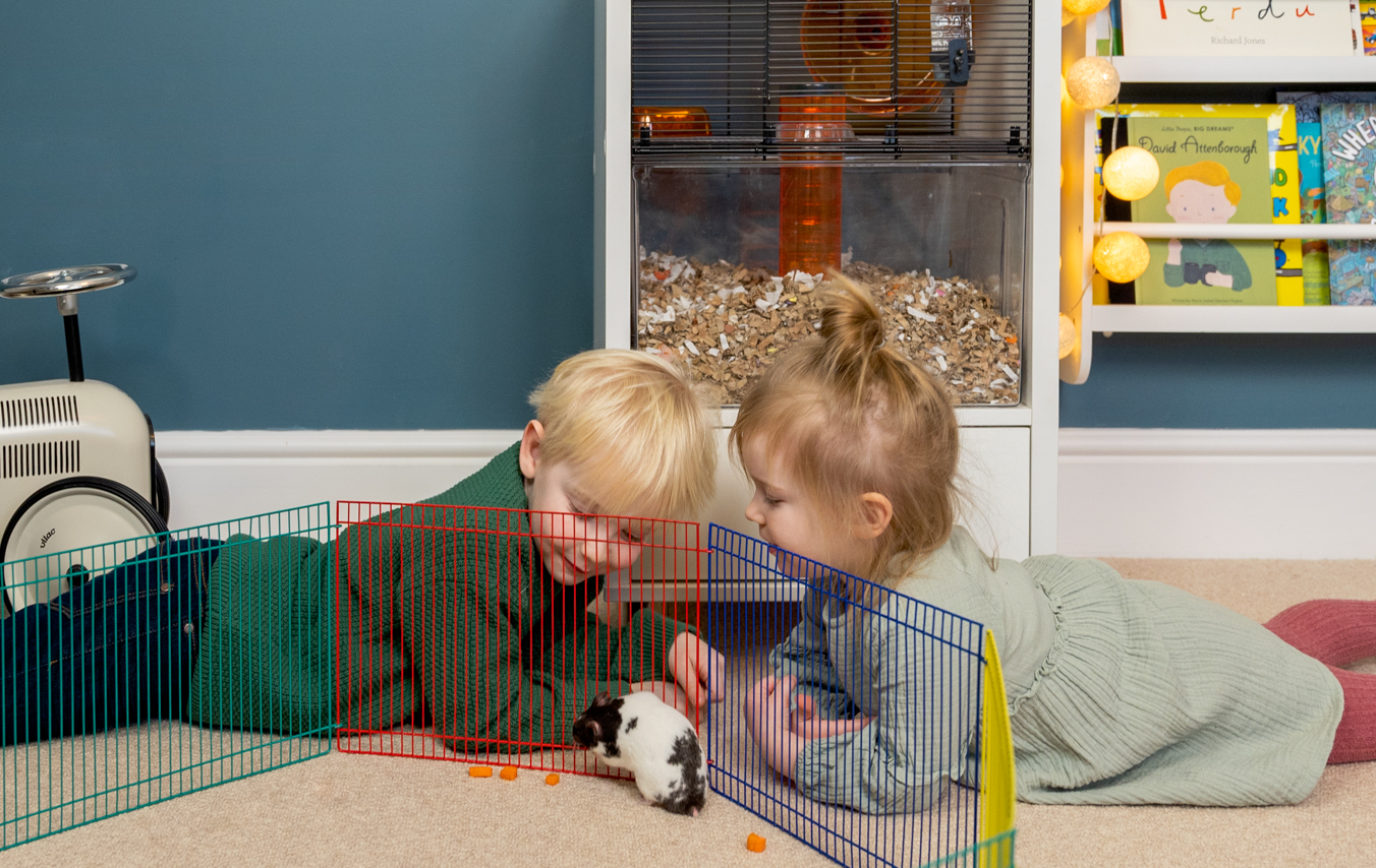 barn som leker med hamstere og ørkenrotter