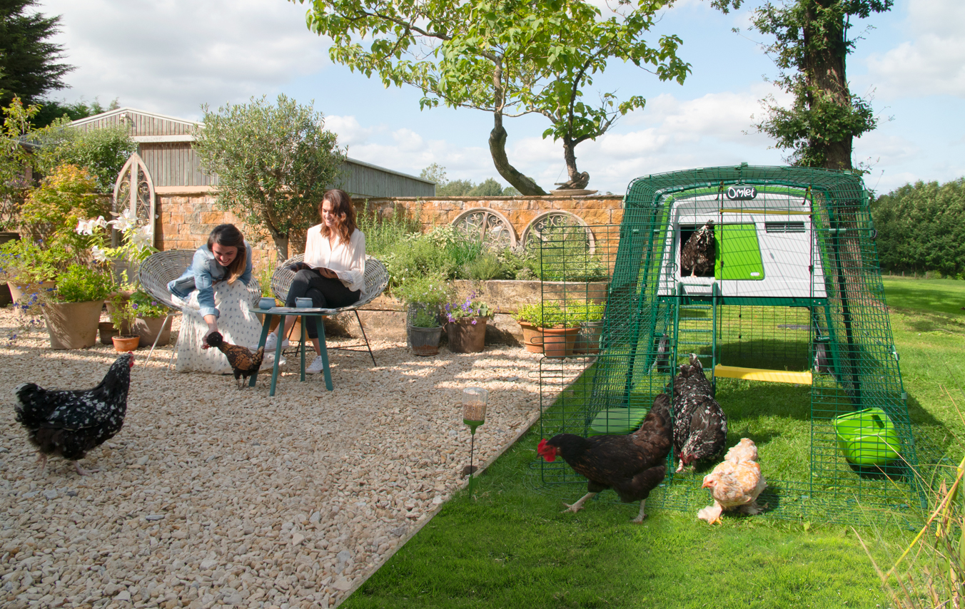 two women having lunch in their garden  and  chickens free ranging around their large chicken coop eglu Cube