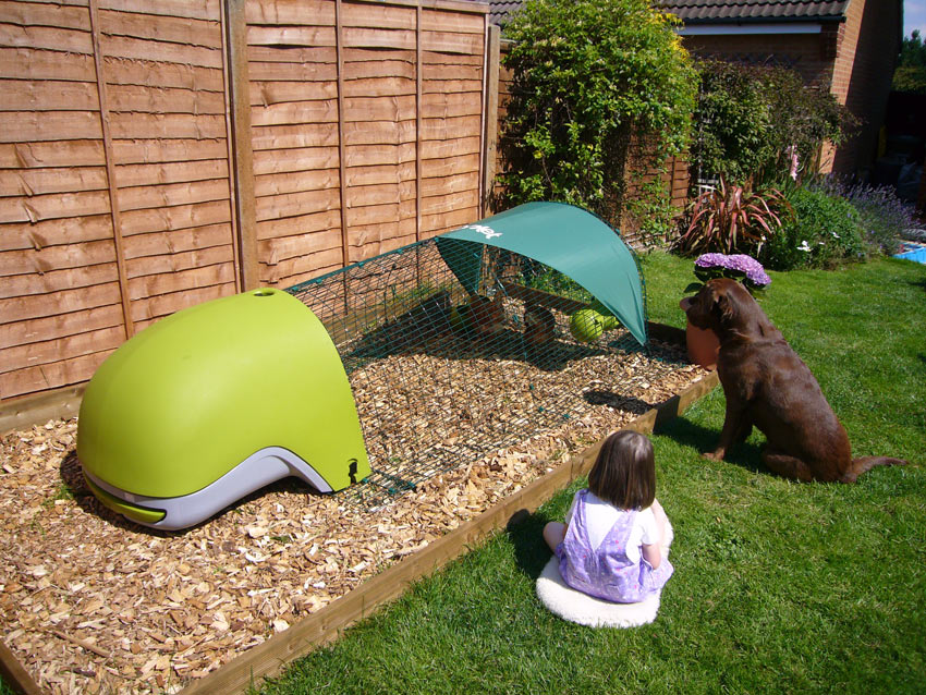 An Eglu Classic and run with a shade cover to protect the chickens from the sun