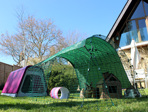 The Eglu Go Rabbit House in a garden