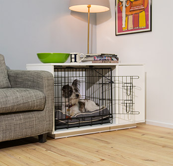 Integrated Dog Crate