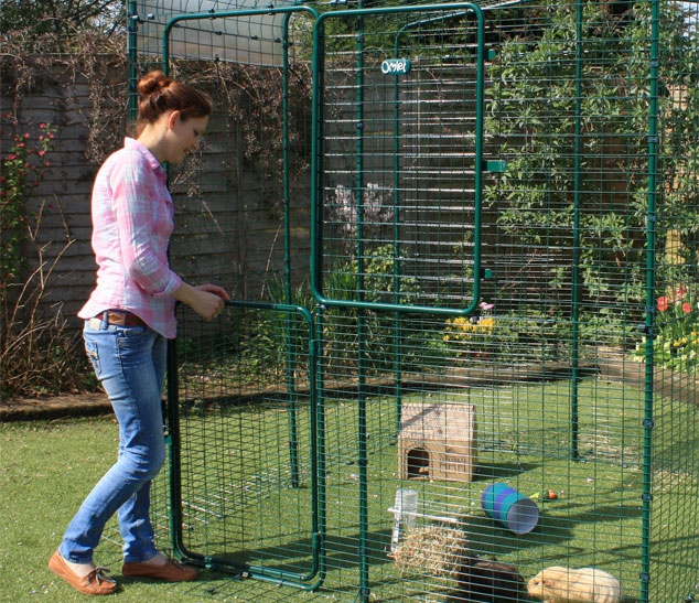 The Hi-Rise Outdoor Guinea Pig Run has a full height stable door making it easy to throw in some treats.