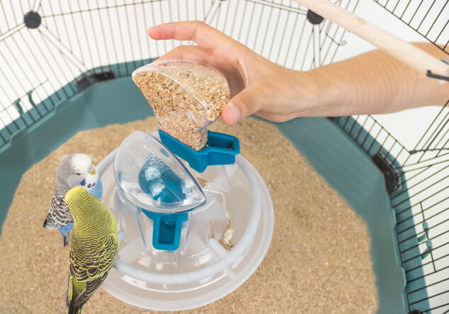 Mat- og vannbeholderne når de fjernes fra fugleburet Geo