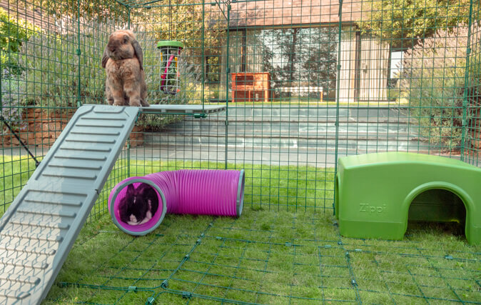 Kaniner vil føle seg sikre høyt opp og trygt og skjermet under